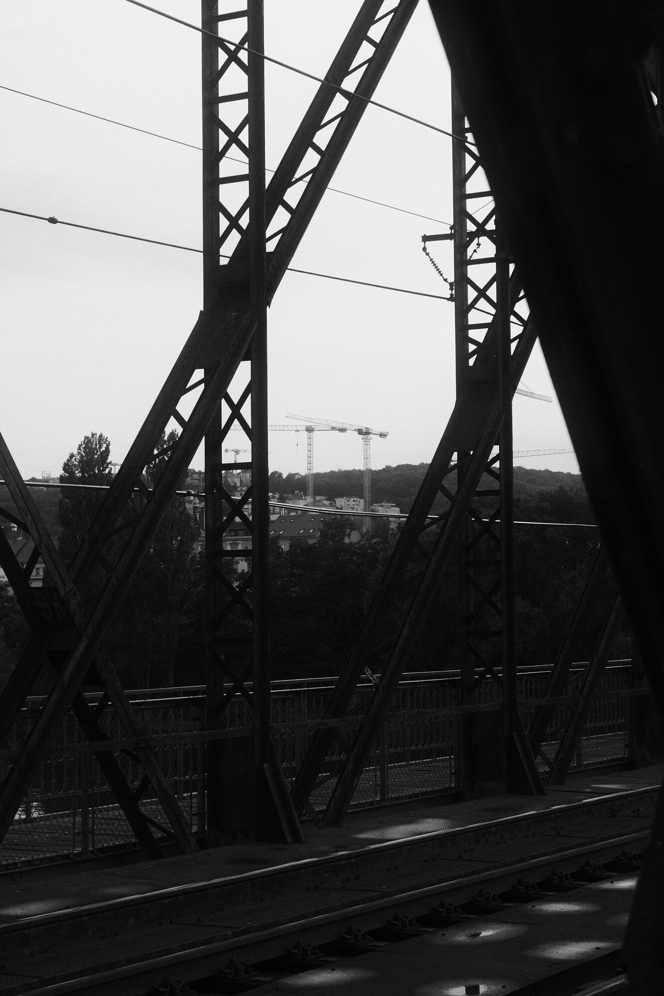 Photograph 01