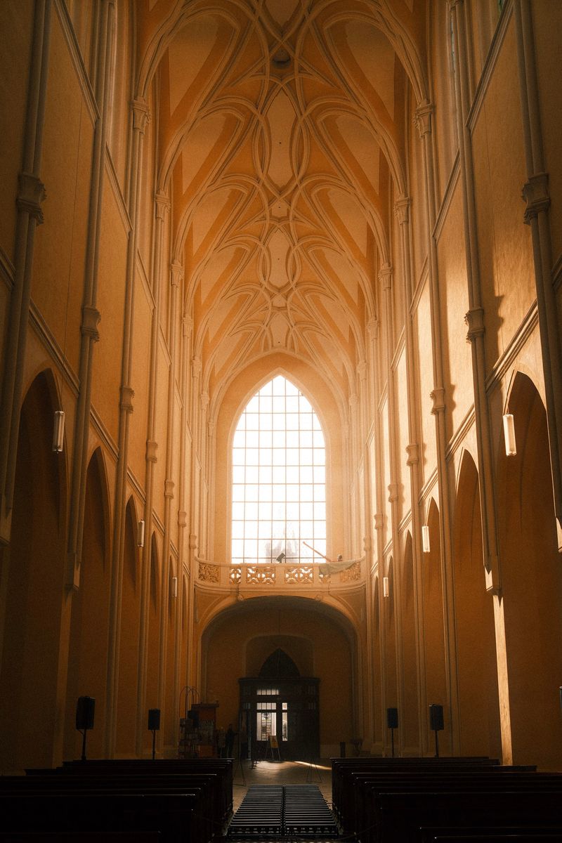 Gothic nave lit by a tall window
