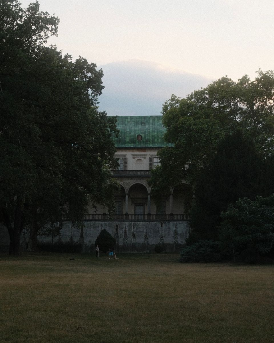Park and palace behind trees
