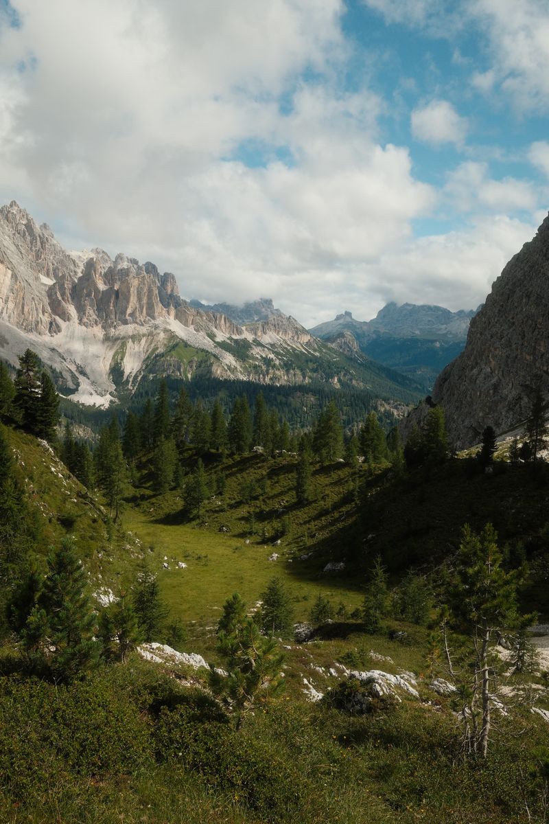 Alpine meadow below jagged peaks