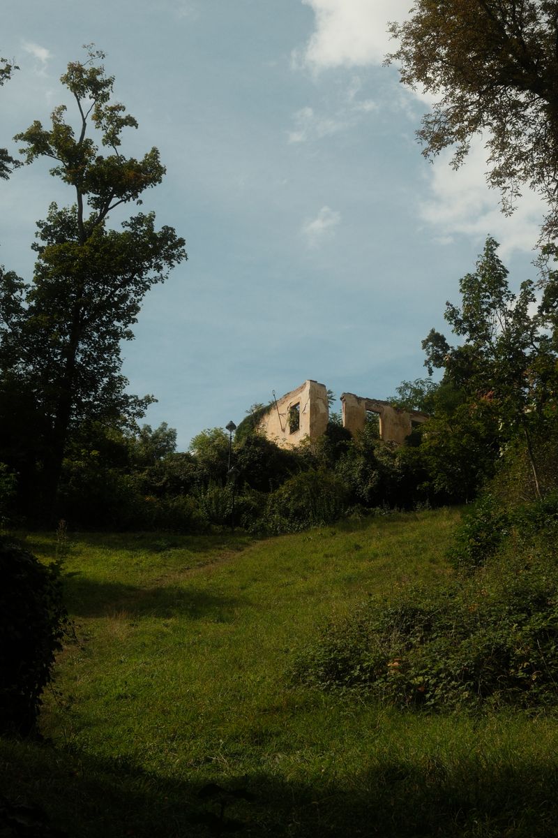 Meadow and a ruin among trees